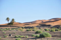 erg chebbi