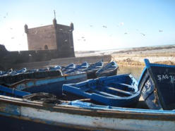 Fischerhafen von Essaouira